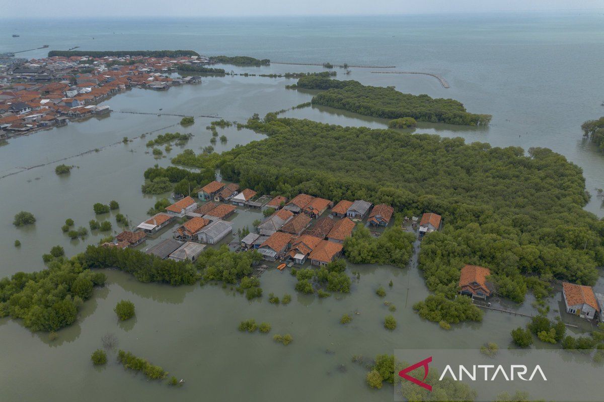 Permukiman warga di Indramayu terisolir akibat banjir rob