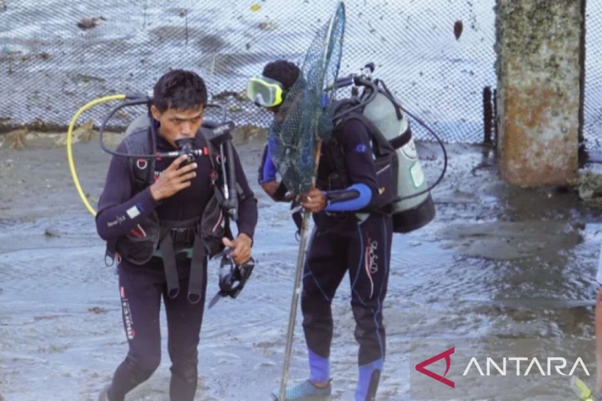 BPPP Ambon aksi bersih lingkungan untuk kampanyekan hidup sehat