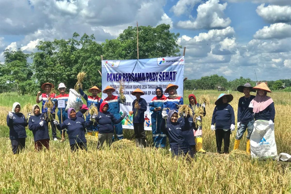 Pertamina EP Adera Field bangkitnya asa masyarakat Desa Pengabuan melalui Program Permata