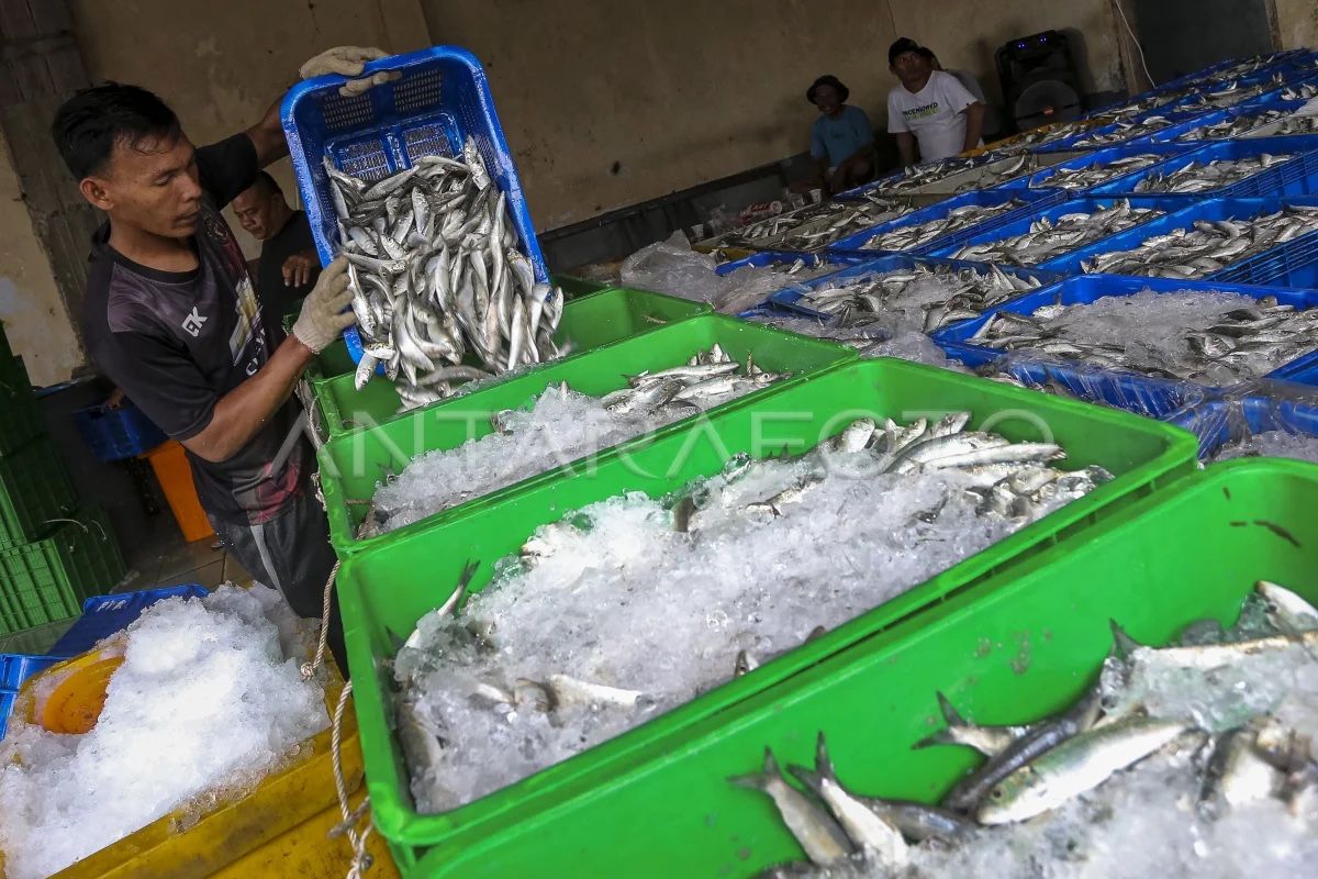 Menteri KKP: Pangan biru RI berpotensi dukung ketahanan pangan dunia
