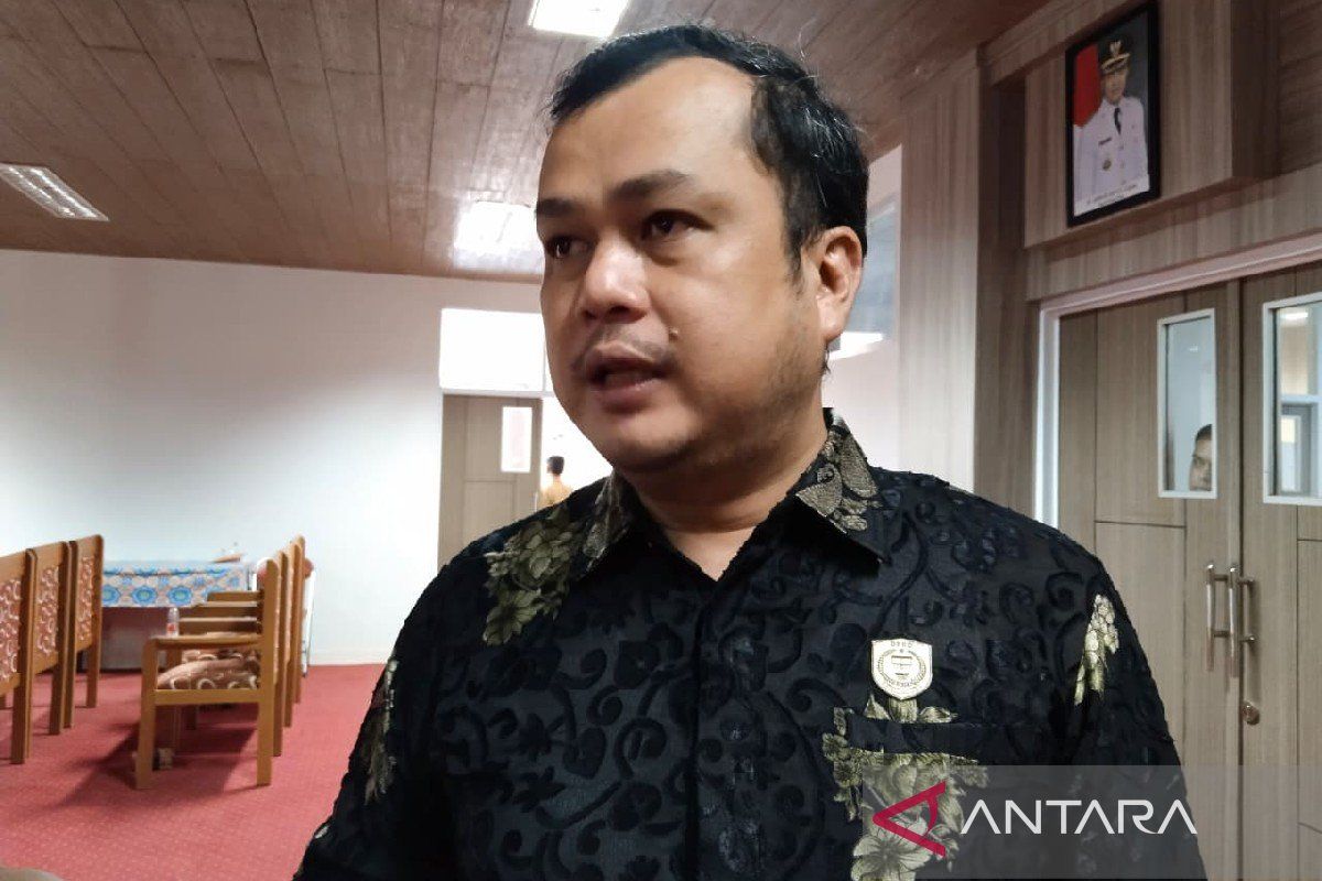 Legislator Pulang Pisau sebut pemangkasan anggaran capai Rp265 miliar
