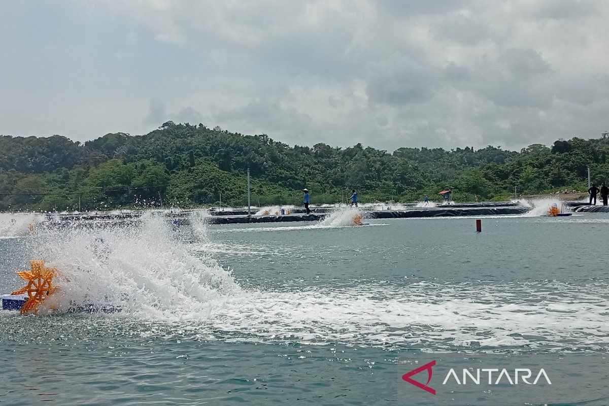 Ketahanan pangan tumbuh dari tangan warga binaan Nusakambangan