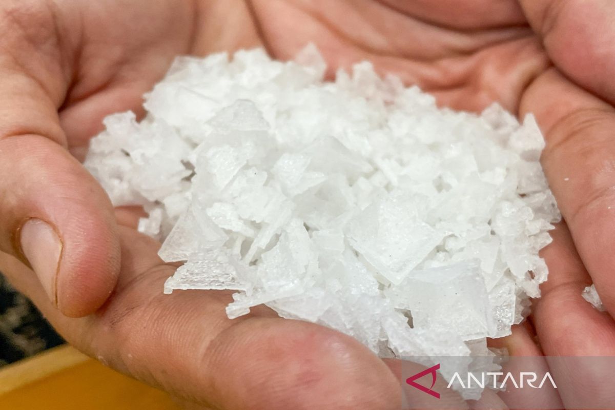 Mengharumkan asa garam di pantura Cirebon