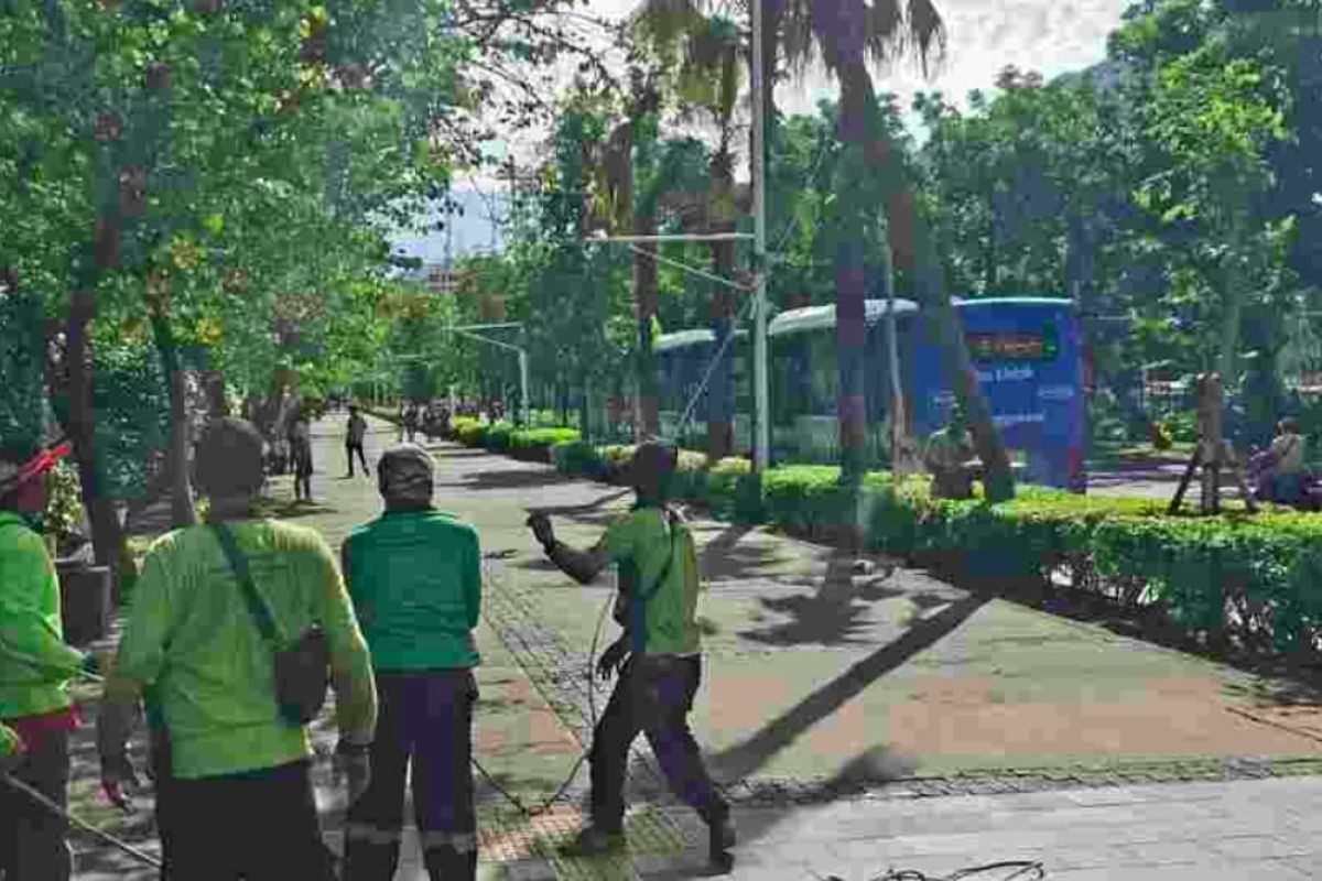 DKI remajakan pohon antisipasi pohon tumbang saat cuaca buruk