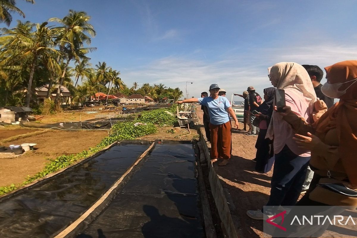 Desa Les, dari swasembada garam menjadi pariwisata hijau kelas dunia