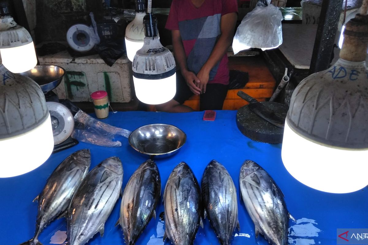 Fasilitas Cold storage dan freezer menopang keberlangsungan UMKM pangan beku