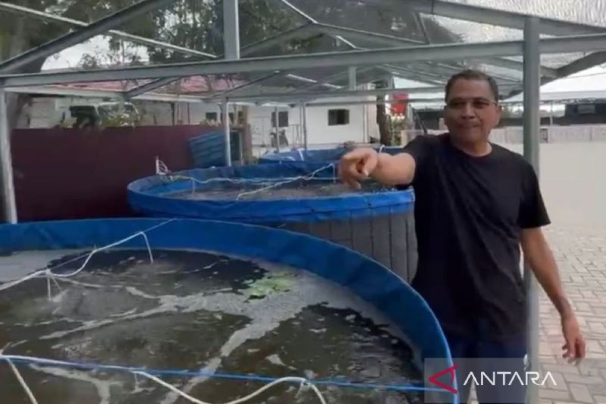 Supian HK sempatkan diri budidaya 