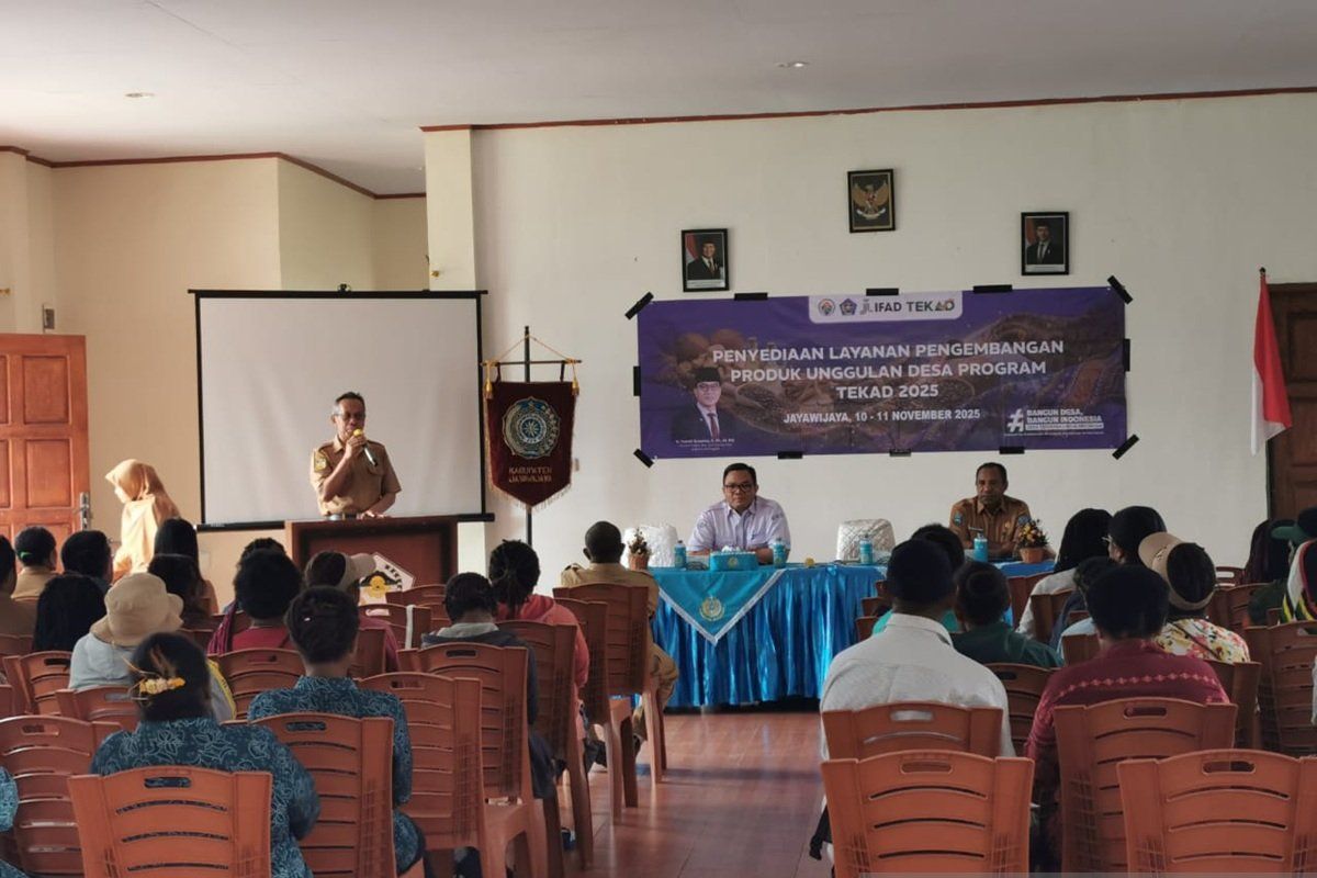 Kemendes PDT dorong pengembangan produk lokal masyarakat Jayawijaya