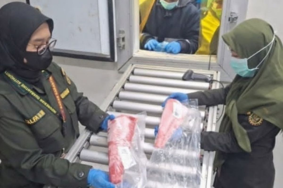 Karantina Malut periksa 25 ton tuna loin tujuan Surabaya