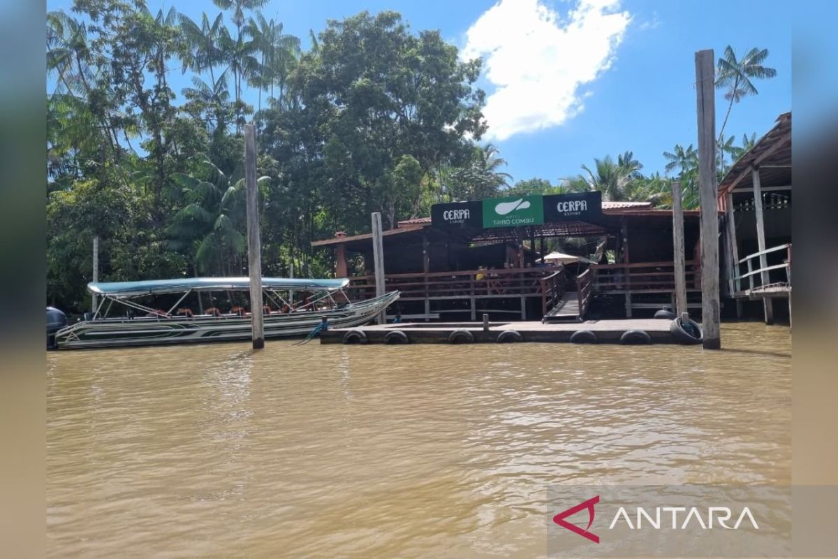 Menyeruput manisnya cokelat Amazon di Pulau Combu