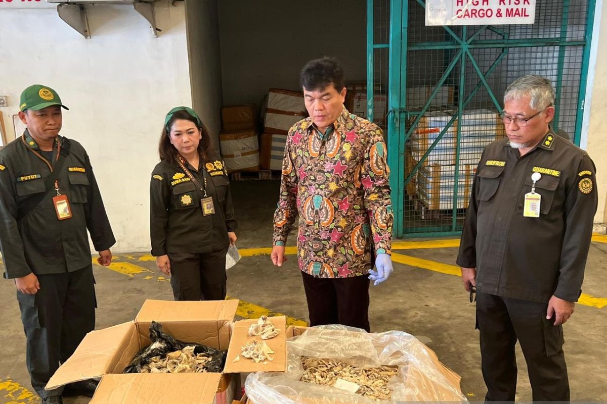 Barantin bongkar kasus kspor sarang burung walet di Bandara Soetta