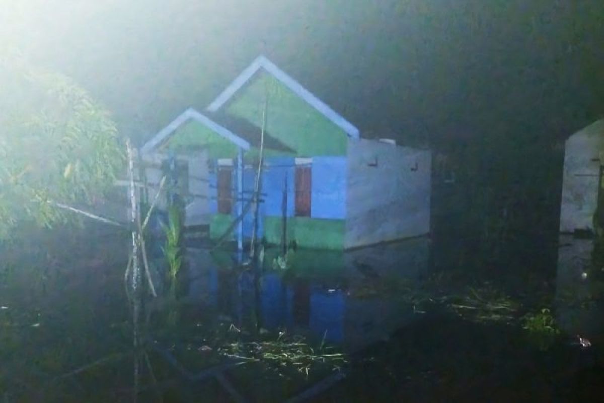 Banjir rob rendam sebagian wilayah selatan Kotim