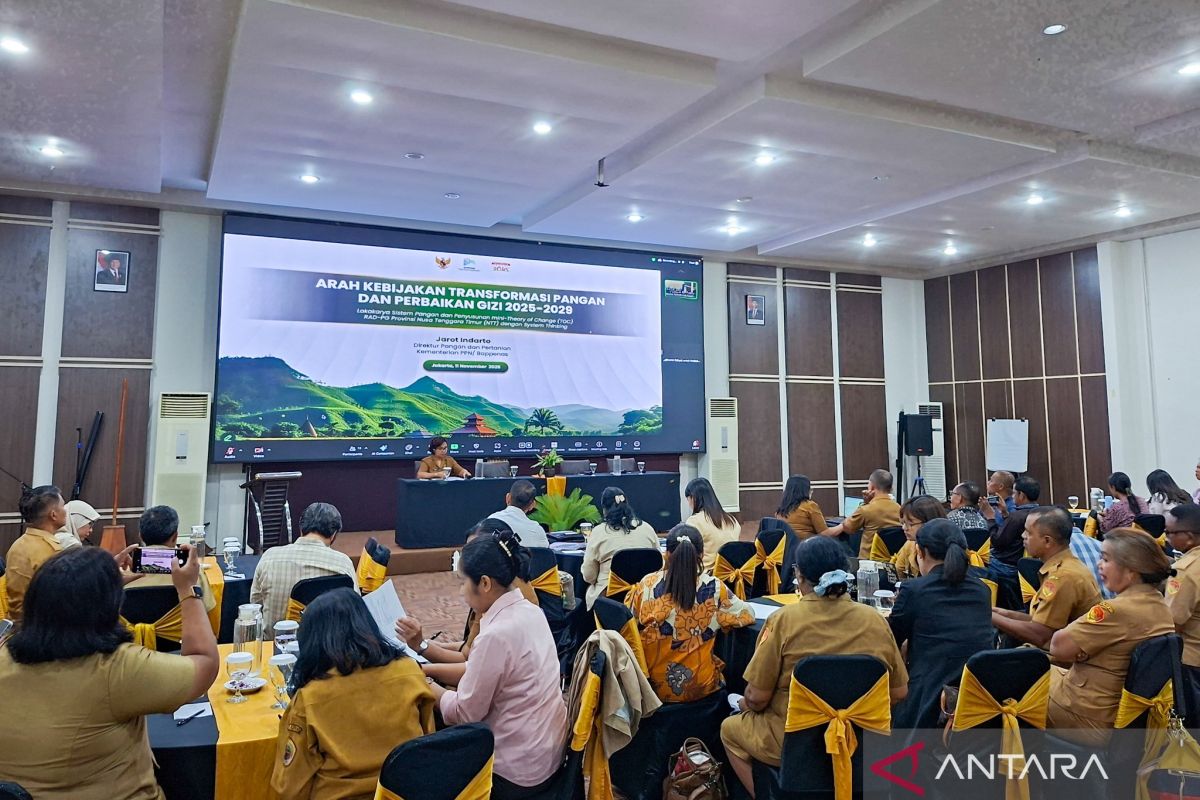 Pemprov NTT mendorong kerangka dasar sistem pangan dan gizi berkelanjutan
