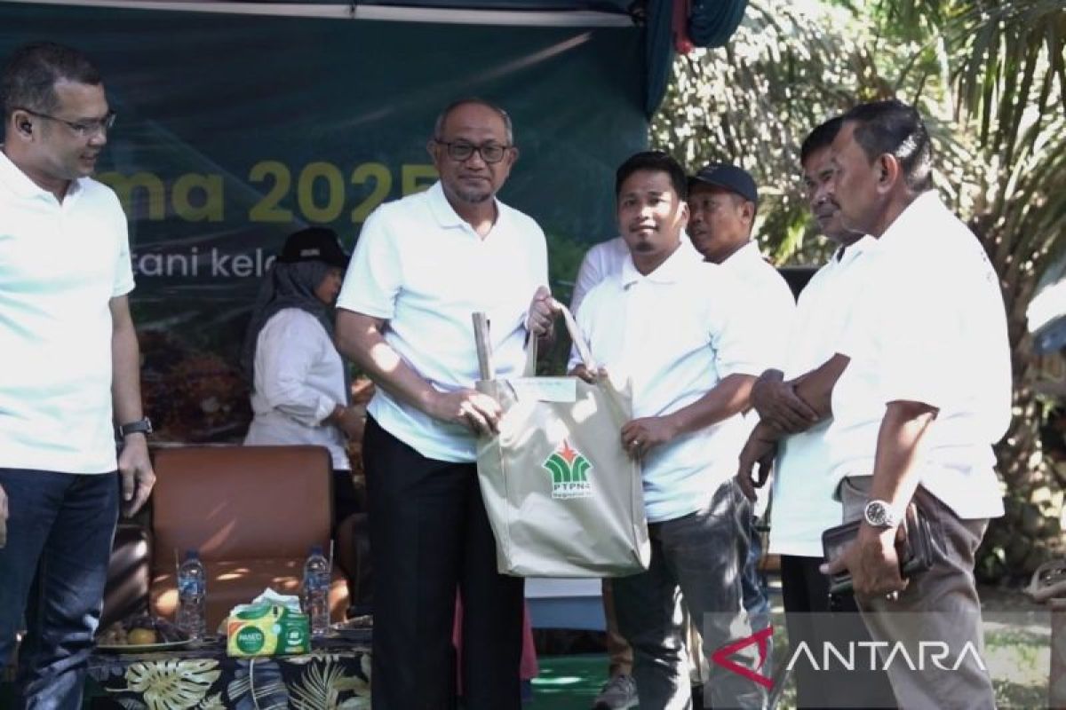 Petani Sawit Lihat PalmCo sebagai "Pahlawan Baru" Ekonomi Rakyat