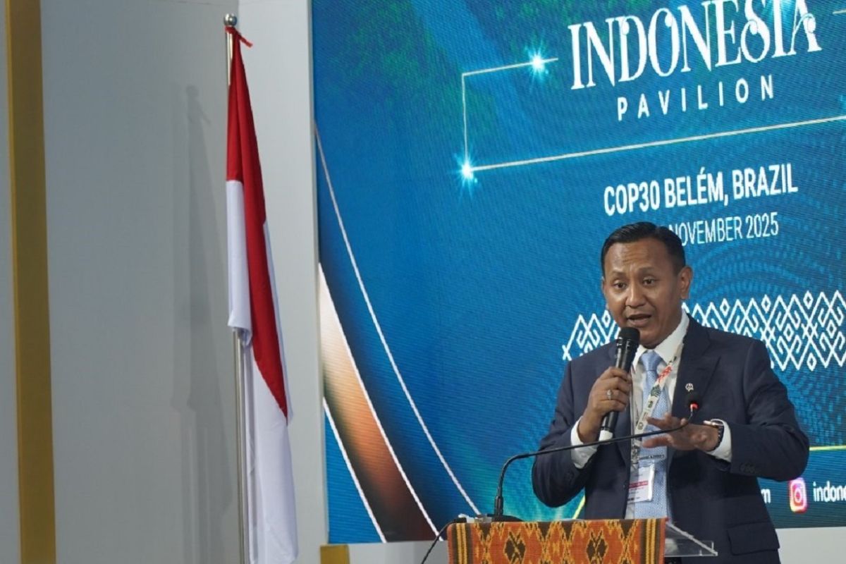Indonesia promotes high-integrity carbon credits at COP30
