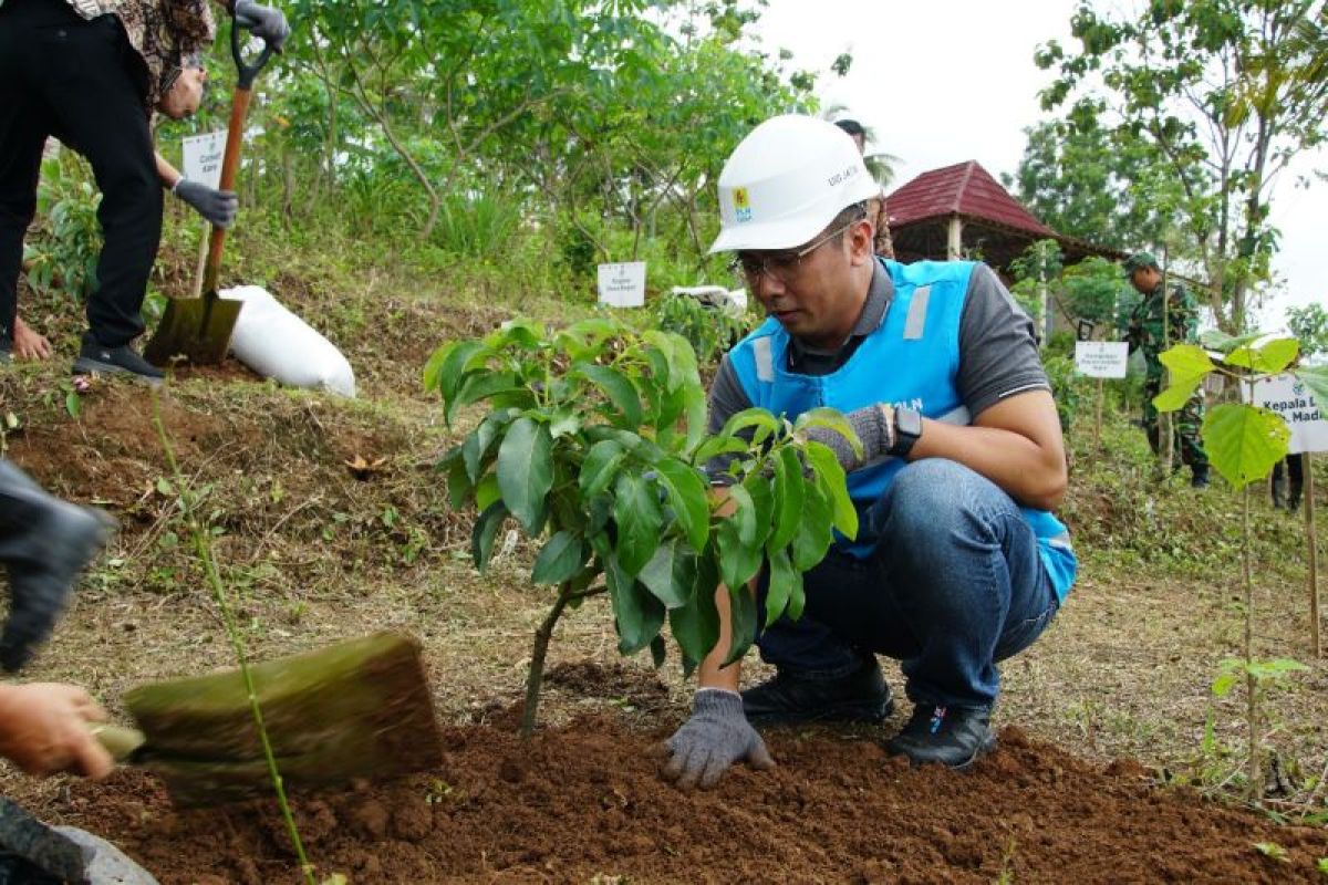 Peringati Hari Pahlawan, PLN tanam pohon di Jatim