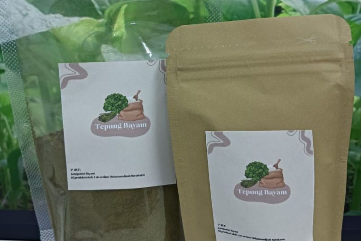 UMS dorong inovasi pangan dengan menyulap bayam menjadi tepung dan kue sehat