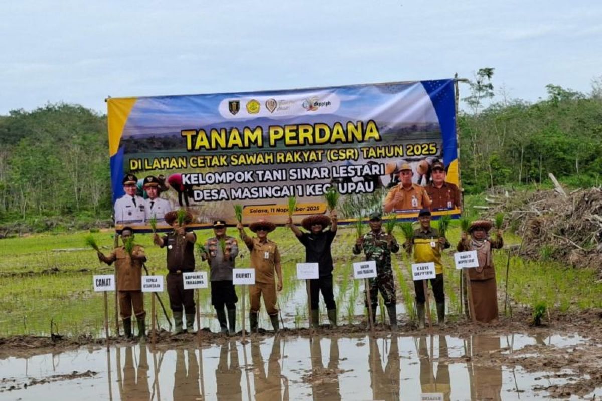 Kalsel kemarin dari tanam padi perdana hingga program beasiswa