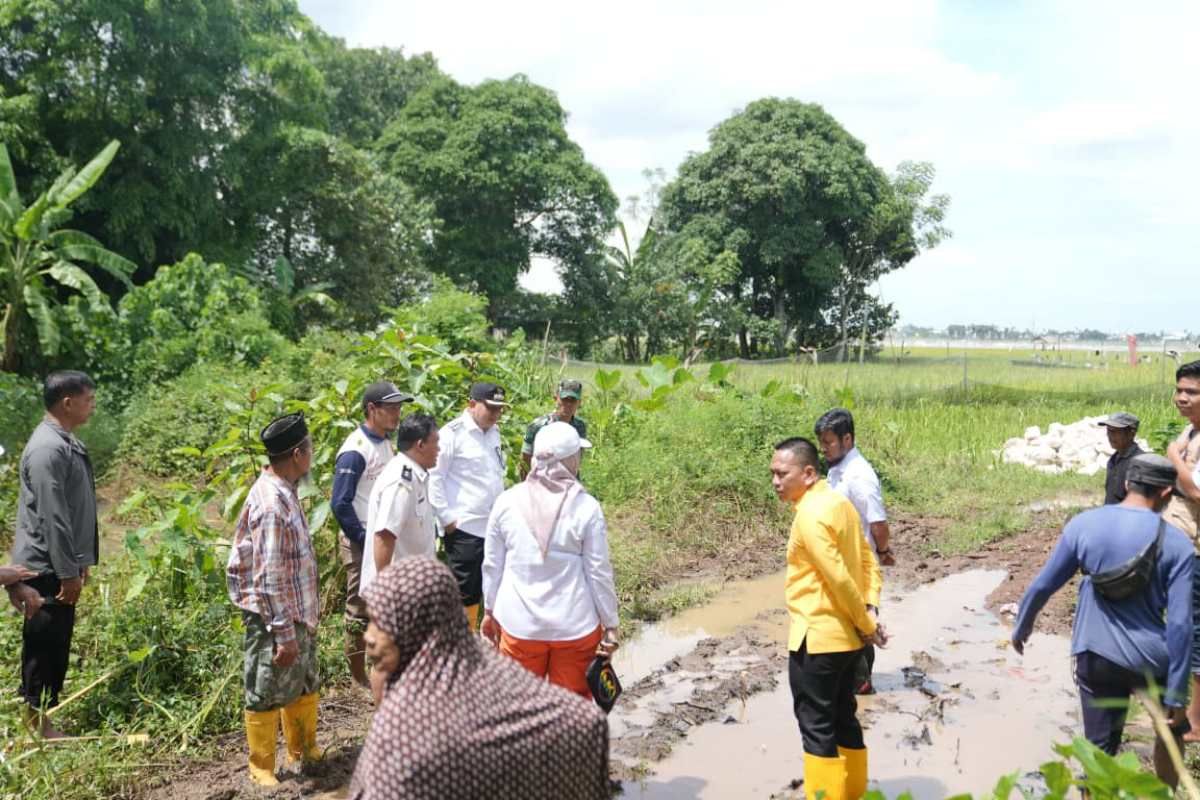 Pemkot Makassar siapkan Rp4 miliar bangun jalan di Romang Tangayya perbatasan Gowa-Maros