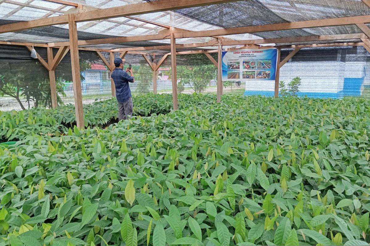 Bupati Pohuwato Apresiasi Program Kakao Burung Indonesia di Taluditi