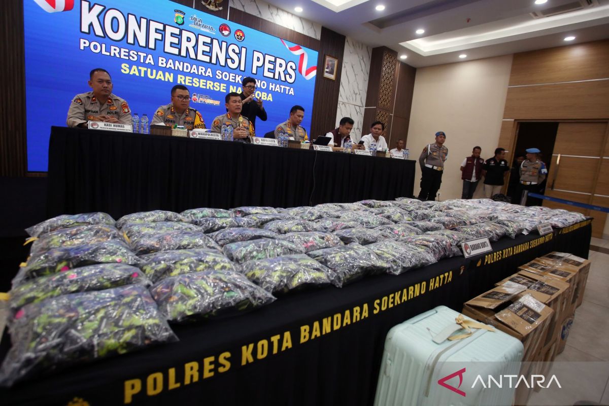 Belgia siapkan larangan semua rasa vape demi lindungi anak muda