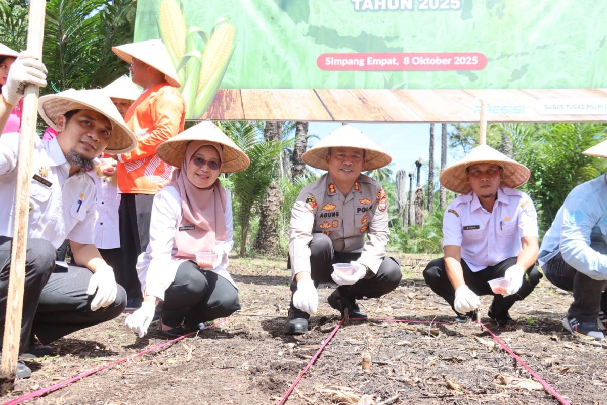 Pemkab Pasaman Barat catat penyaluran pupuk subsidi capai 32.817 ton
