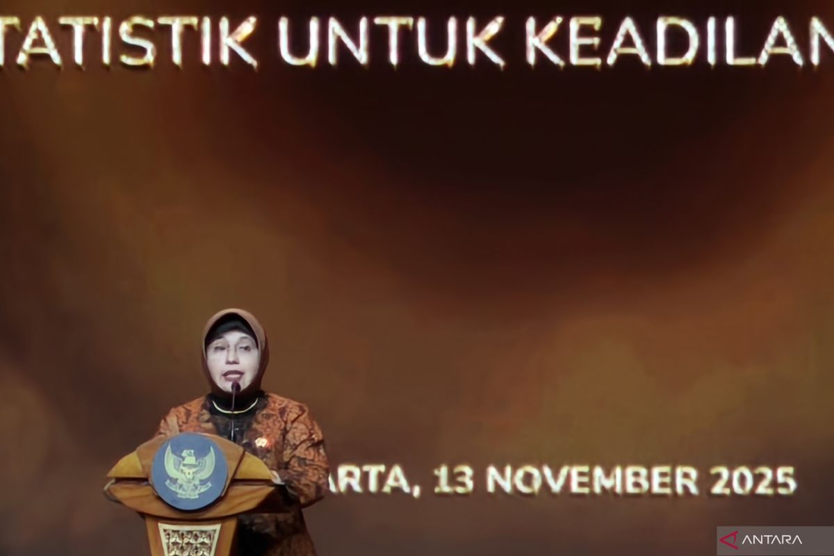 BPS sebut kolaborasi dengan Kemensos wujudkan DTSEN yang presisi