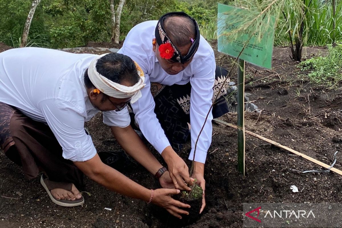 Pemkab Bangli dan BKSDA reboisasi TWA Penelokan Kintamani