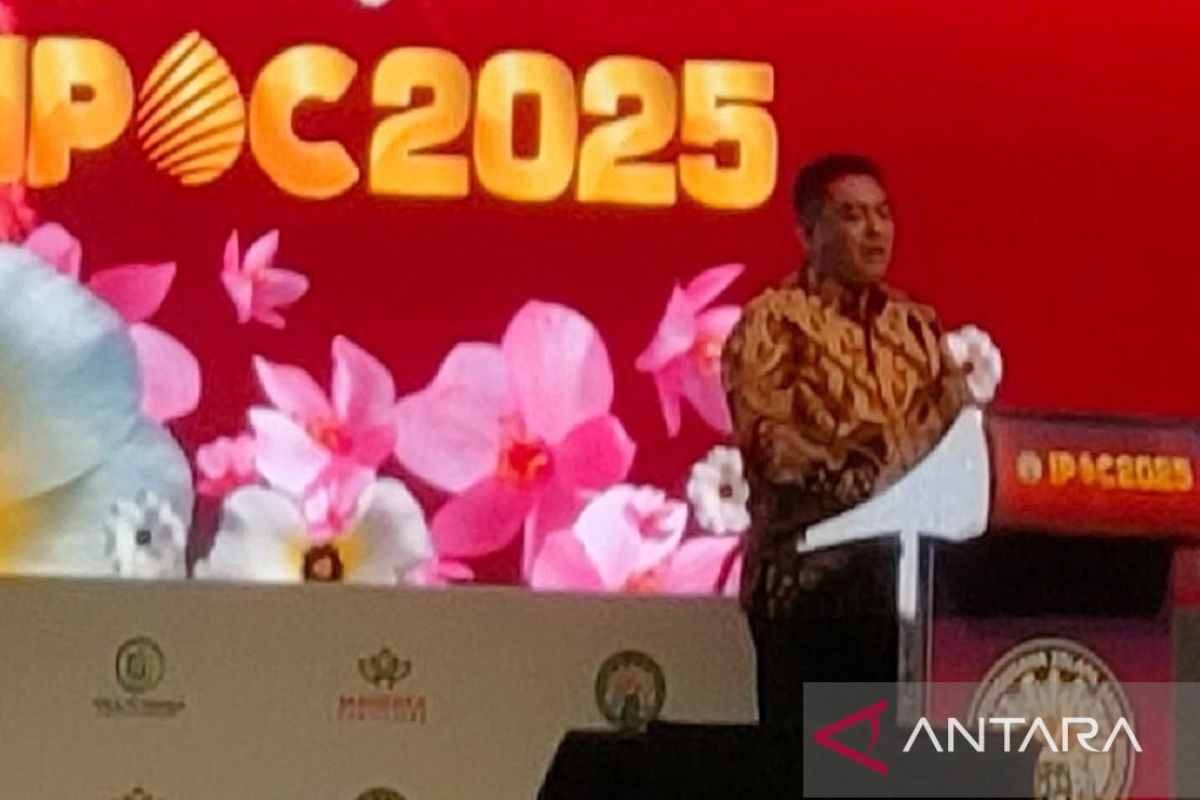 Pemerintah sederhanakan regulasi percepat peremajaan sawit rakyat