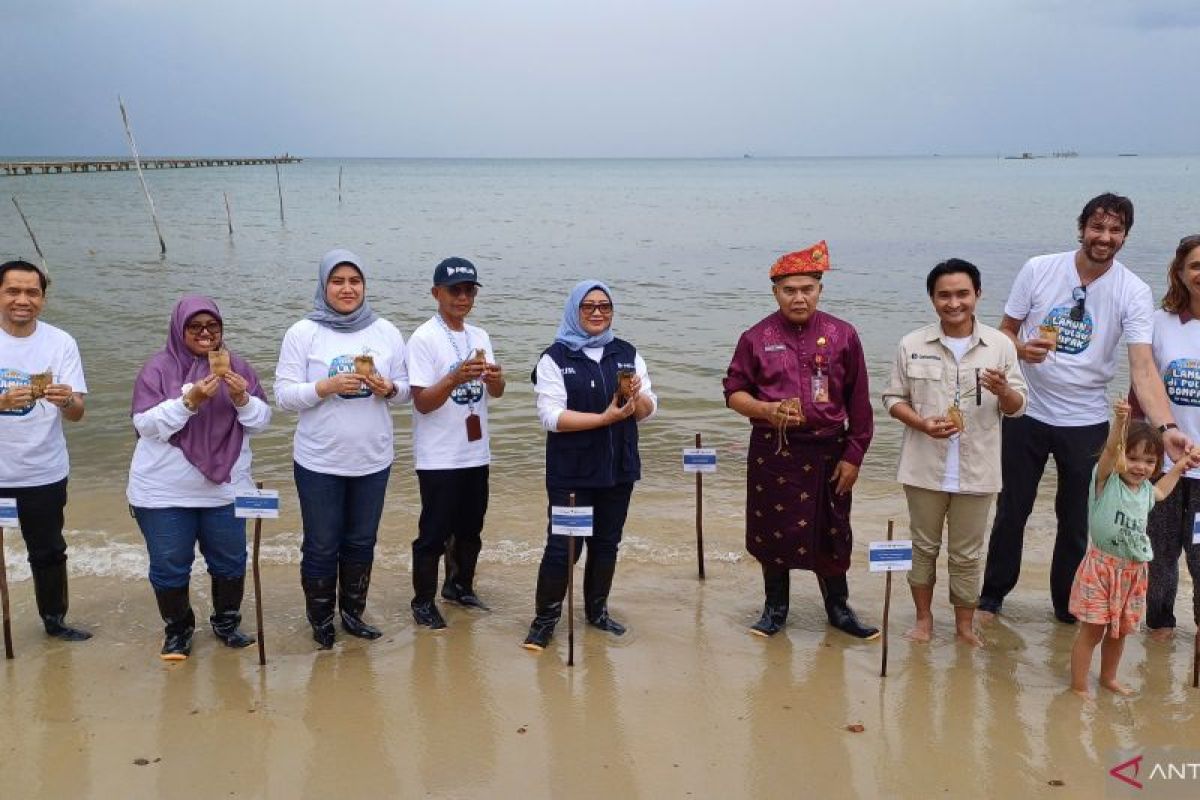 Pelni tanam 3.000 bibit lamun di perairan Tanjungpinang