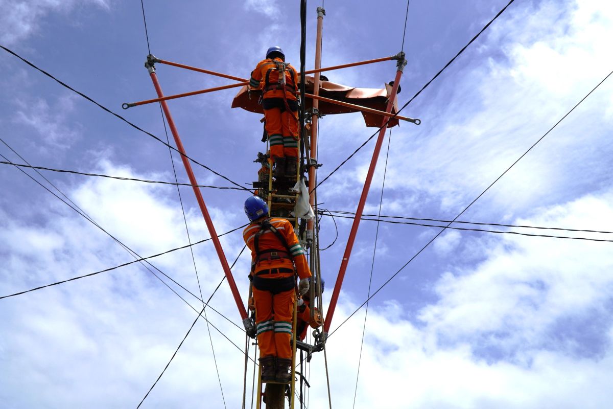 PLN-UP3 Palu tingkatkan keandalan layanan lewat pemeliharaan jaringan