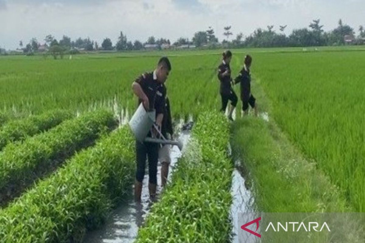 Pengabdian masyarakat BEM UNPRI di Sergai, ini yang dikembangkan