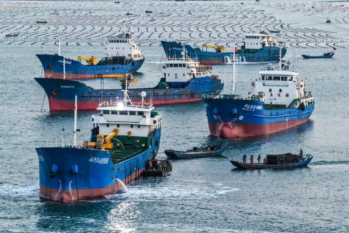 China bangun tambak laut untuk perkaya "lumbung pangan biru"