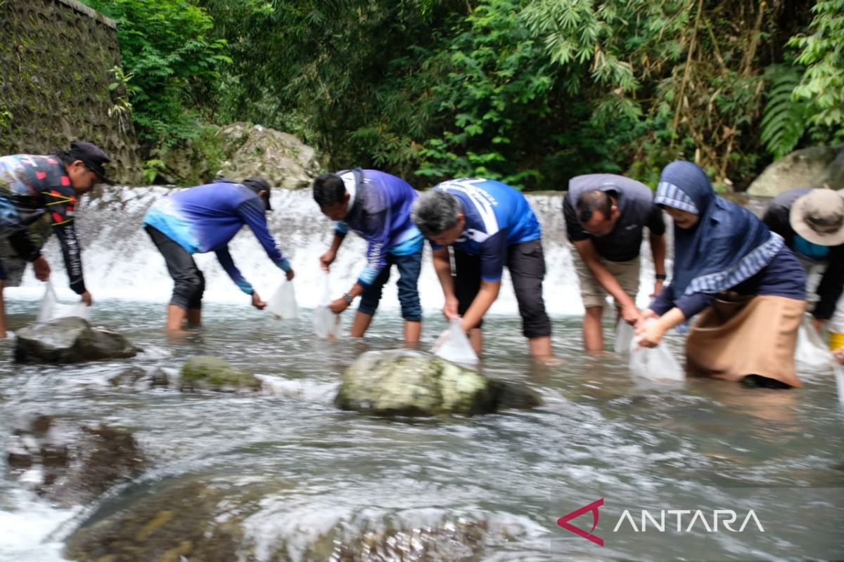 Temanggung tebar 10.000 ekor benih ikan di perairan umum Curug Titang