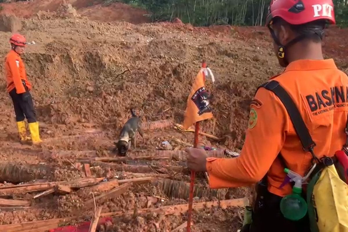 Tim SAR kerahkan anjing pelacak dan alat berat cari korban longsor Cilacap