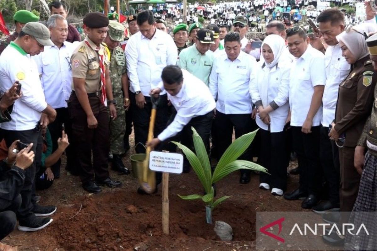 Amran Sulaeman luncurkan gerakan menanam lima juta kelapa di Selayar