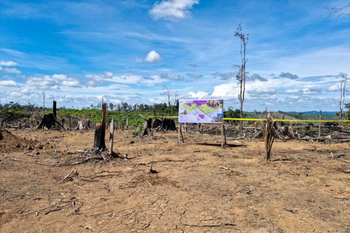 Kemenhut amankan 2.390 ha areal perambahan hutan di Lanskap Seblat