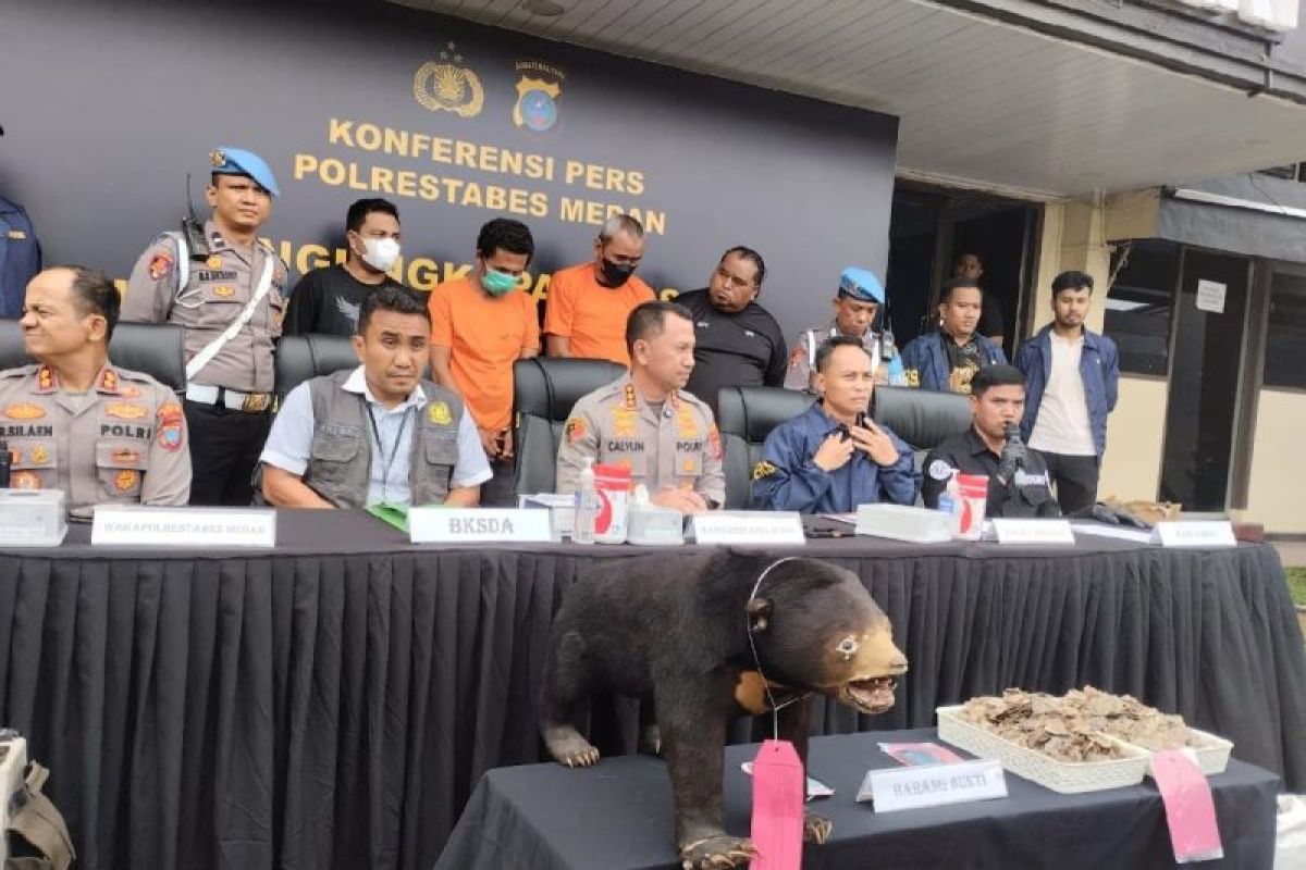 Polrestabes Medan buru pelaku penjual offset beruang madu