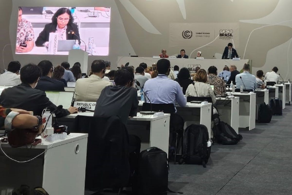 Kemenhut perjuangkan aturan pasar karbon adil dan inklusif di COP30