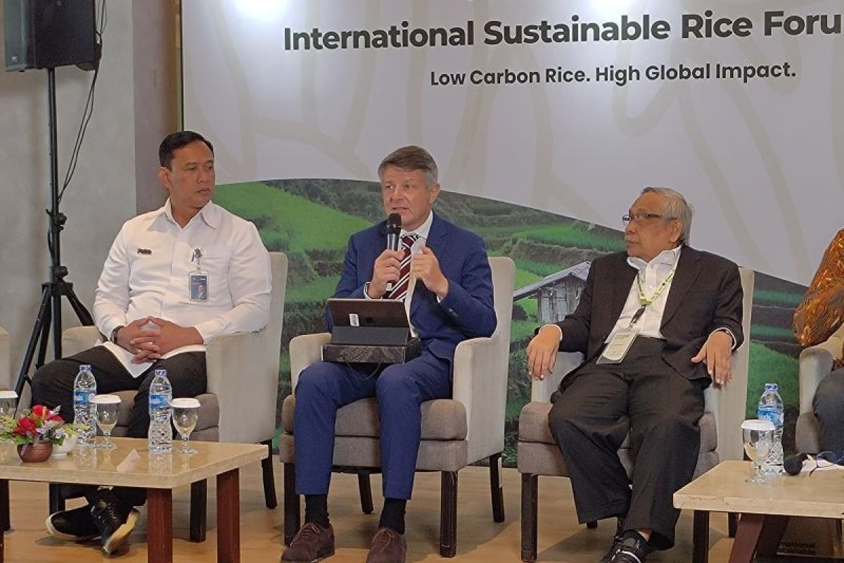 Kolaborasi Indonesia-UE dorong efisiensi produksi beras rendah karbon