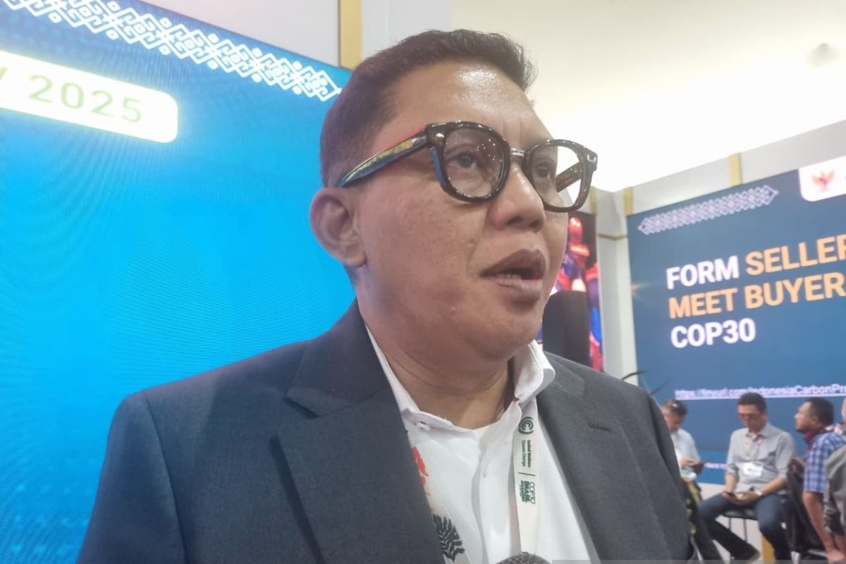 COP30: Indonesia reviews sanctions to curb fraud in carbon trading