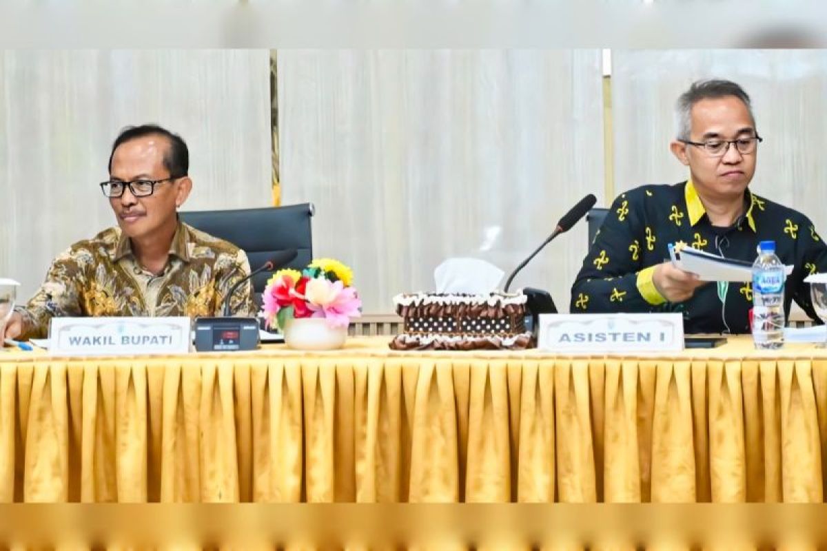 Wakil Bupati Lamandau soroti sejumlah isu strategis