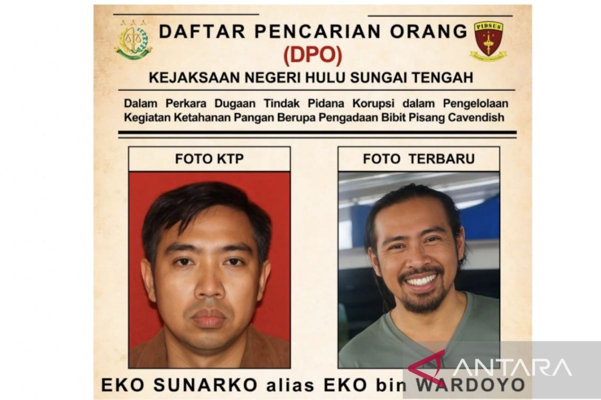 Kejari HST tetapkan OS sebagai DPO kasus pengadaan bibit pisang