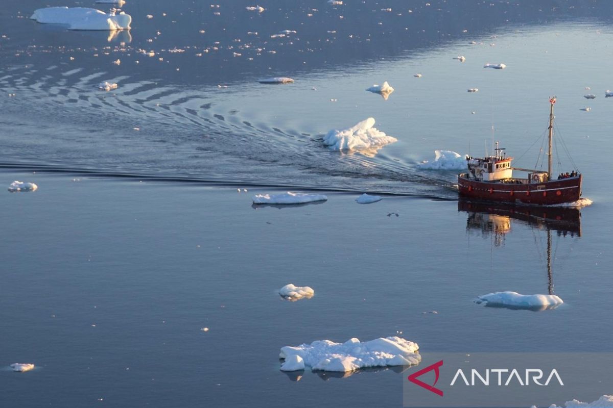 MSC sebut perubahan iklim tingkatkan risiko konflik pengelolaan tuna