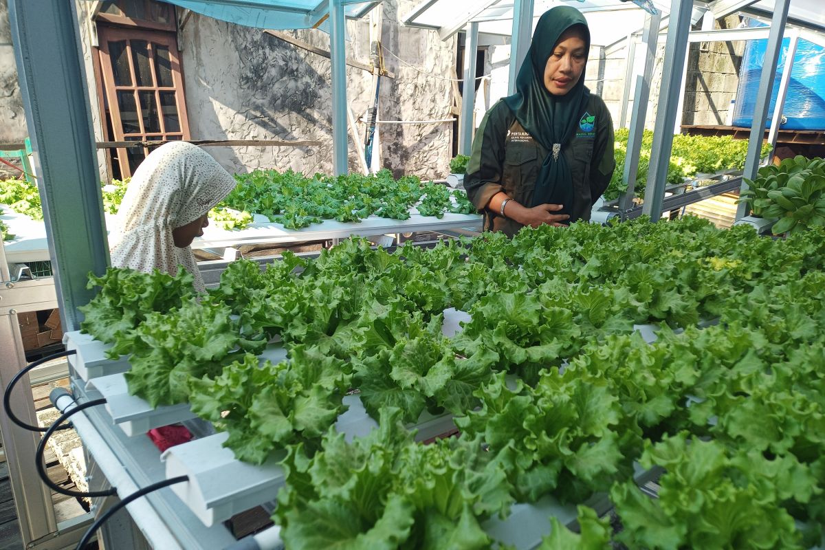 Dinkes Balikpapan luncurkan Program Gempur Stunting, fokus gizi anak