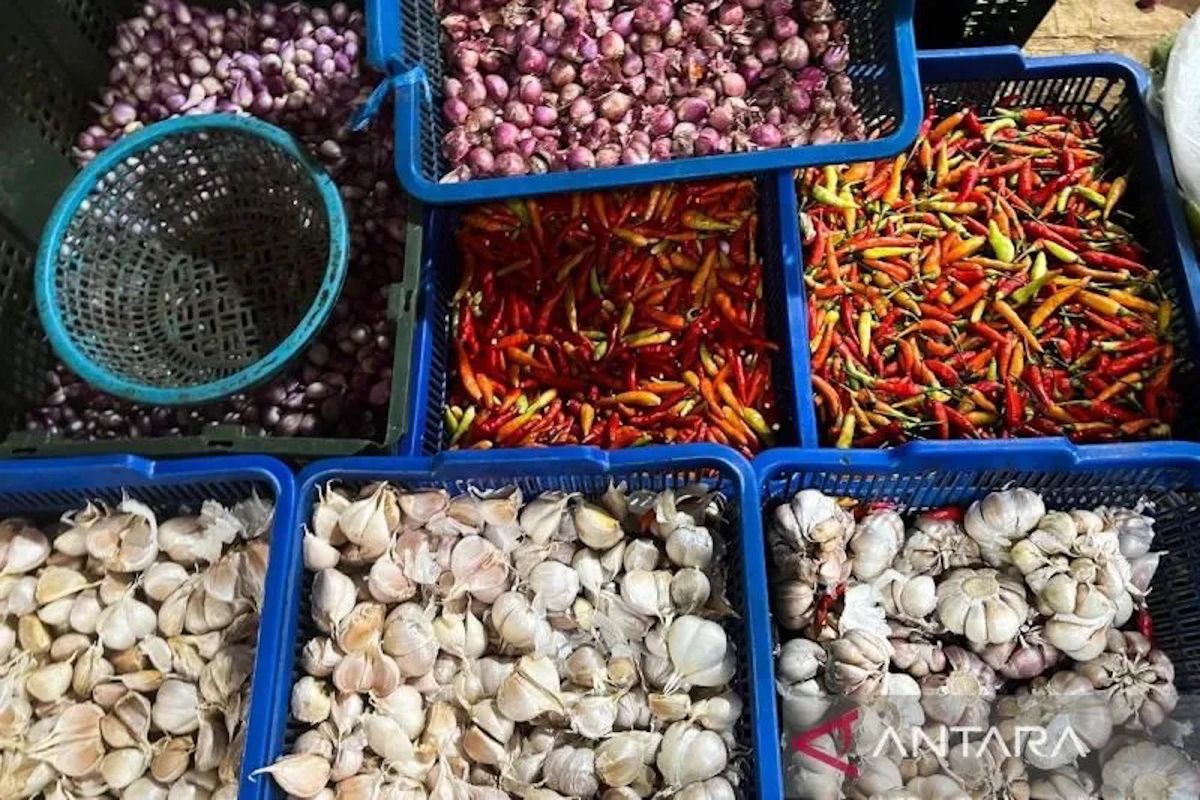 PIHPS: Harga bawang merah Rp52.350/kg, cabai rawit Rp64.950/kg