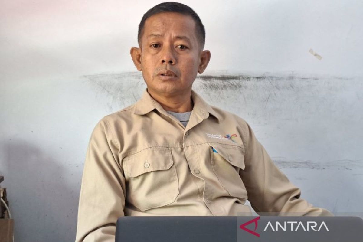 Persiapan Manokwari Surfing Internasional capai 98 persen