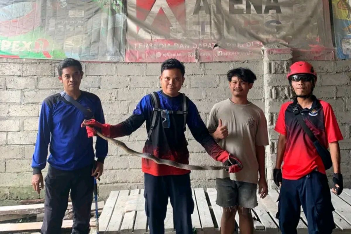 Damkartan siaga pelayanan non kebakaran di Lombok Tengah