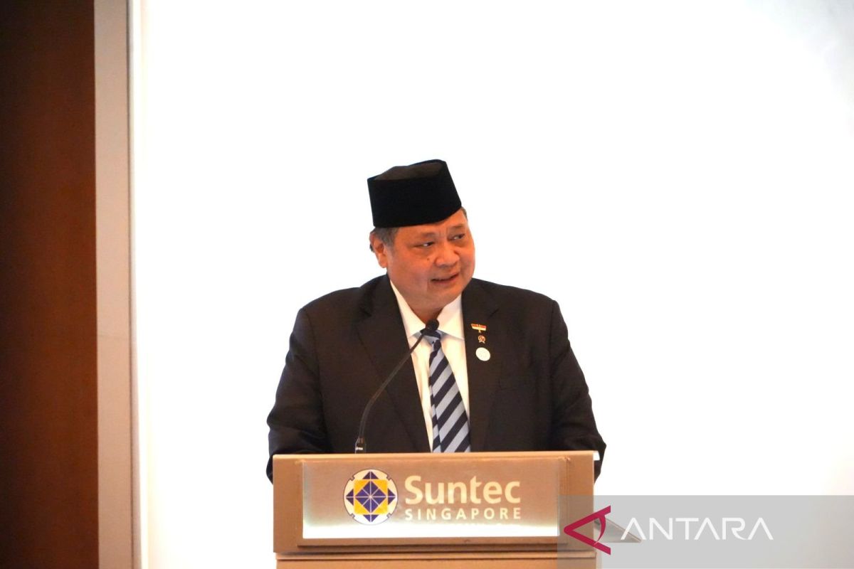 Menko Airlangga ajak perusahaan Singapura investasi di Batam, Bintan dan Karimun