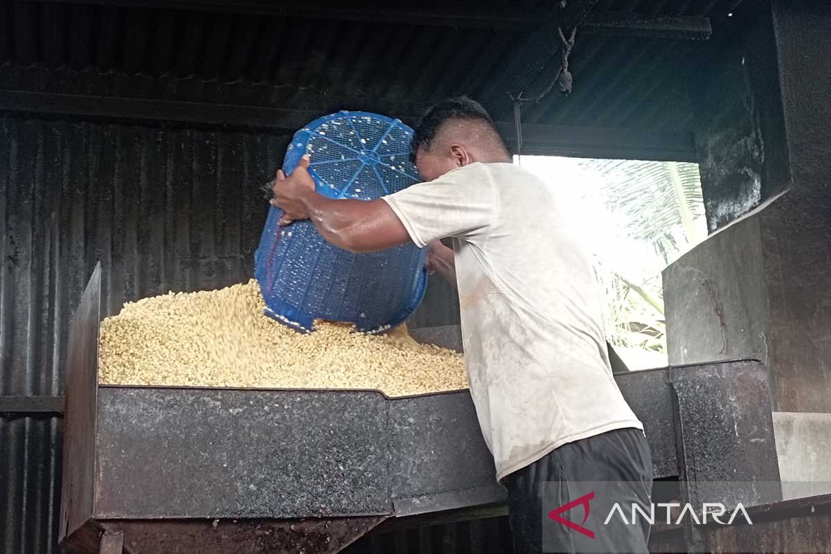 Pemintaan tempe di Aceh meningkat karena program MBG